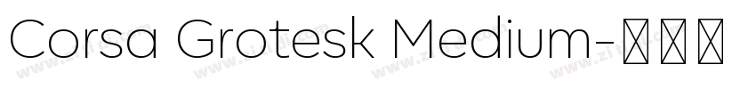 Corsa Grotesk Medium字体转换